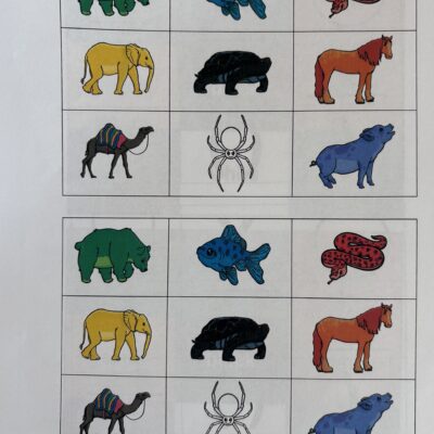 Updated & New Student Workbook Pages